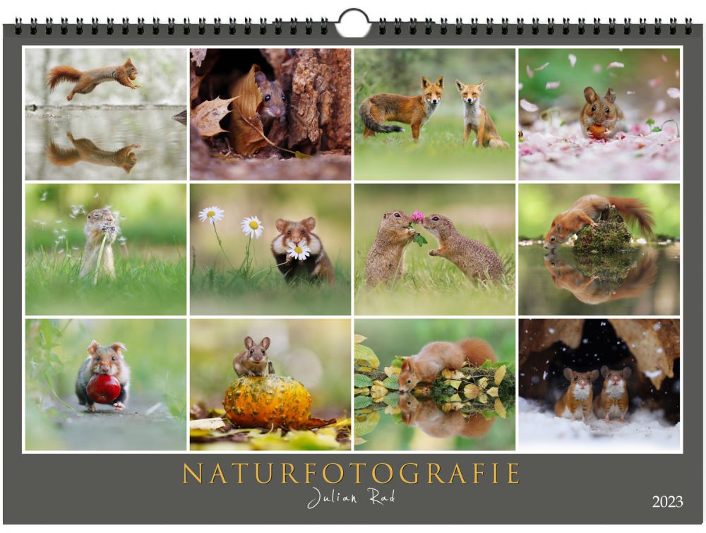 Kalender Naturfotografie A3