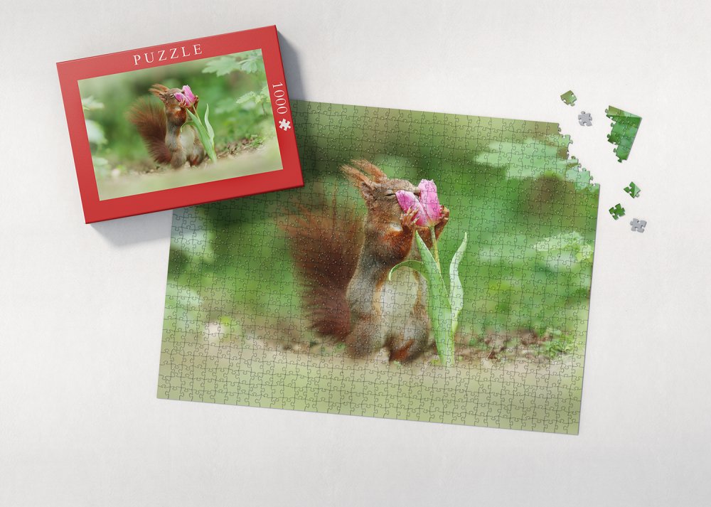 Puzzle Eichhörnchen 1.000 Teile