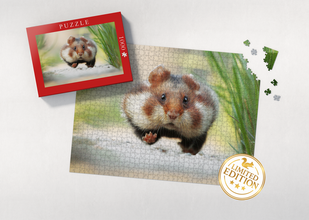 Puzzle Hamster 1.000 Teile