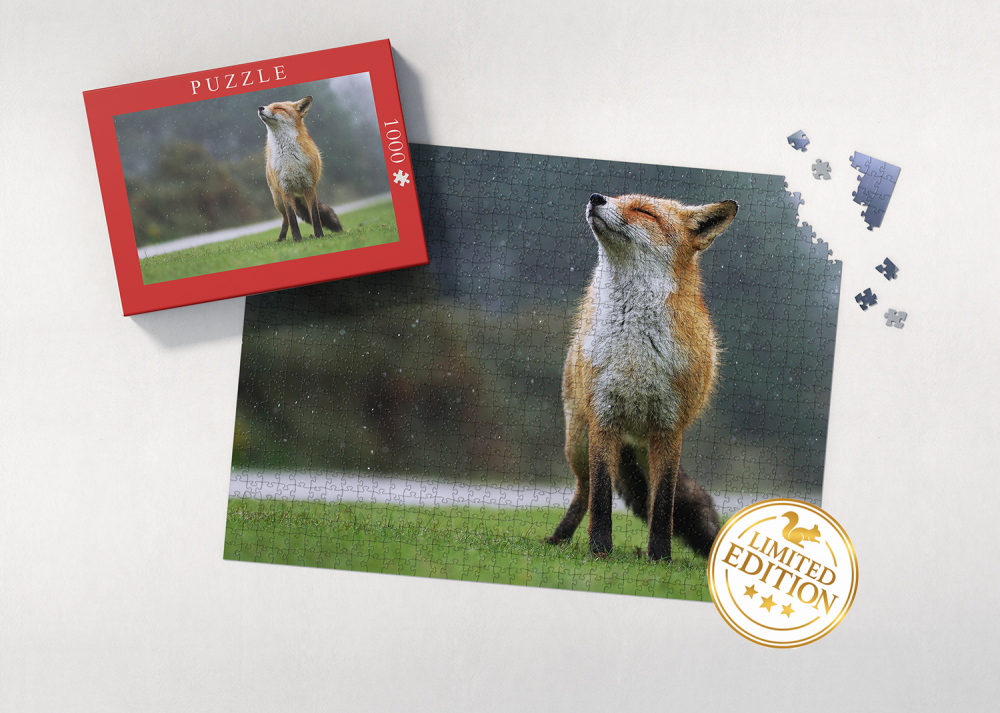 Puzzle Fuchs 1.000 Teile