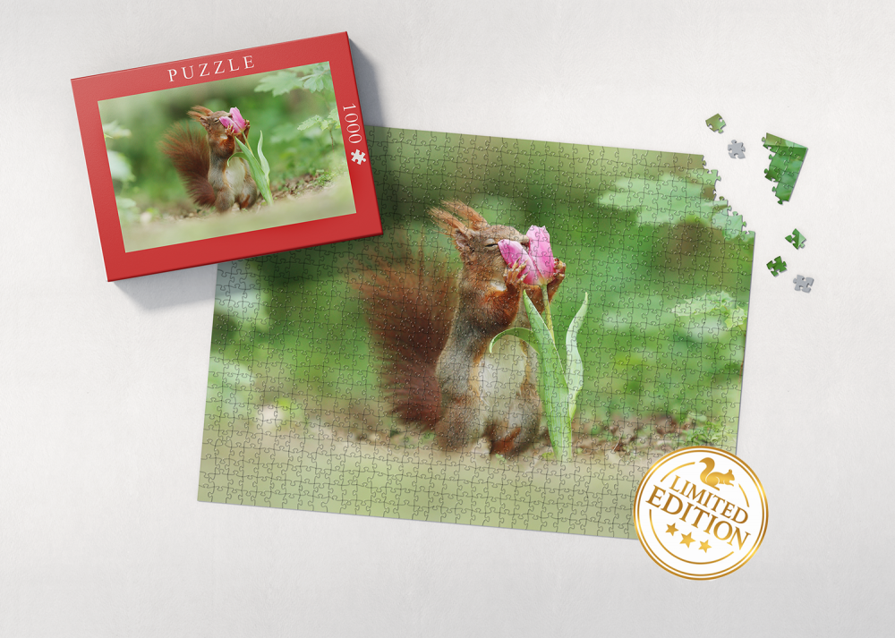 Puzzle Eichhörnchen 1.000 Teile