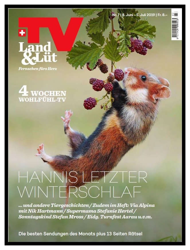 TV Land und Luft Cover 2019