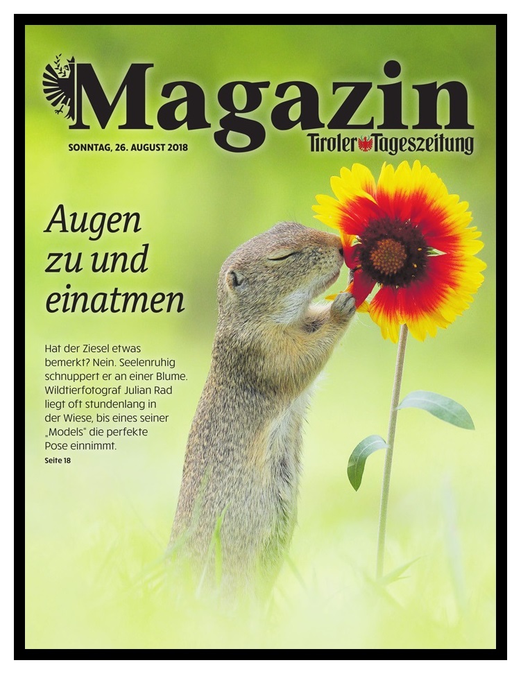 Tiroler Tageszeitung Cover 2018